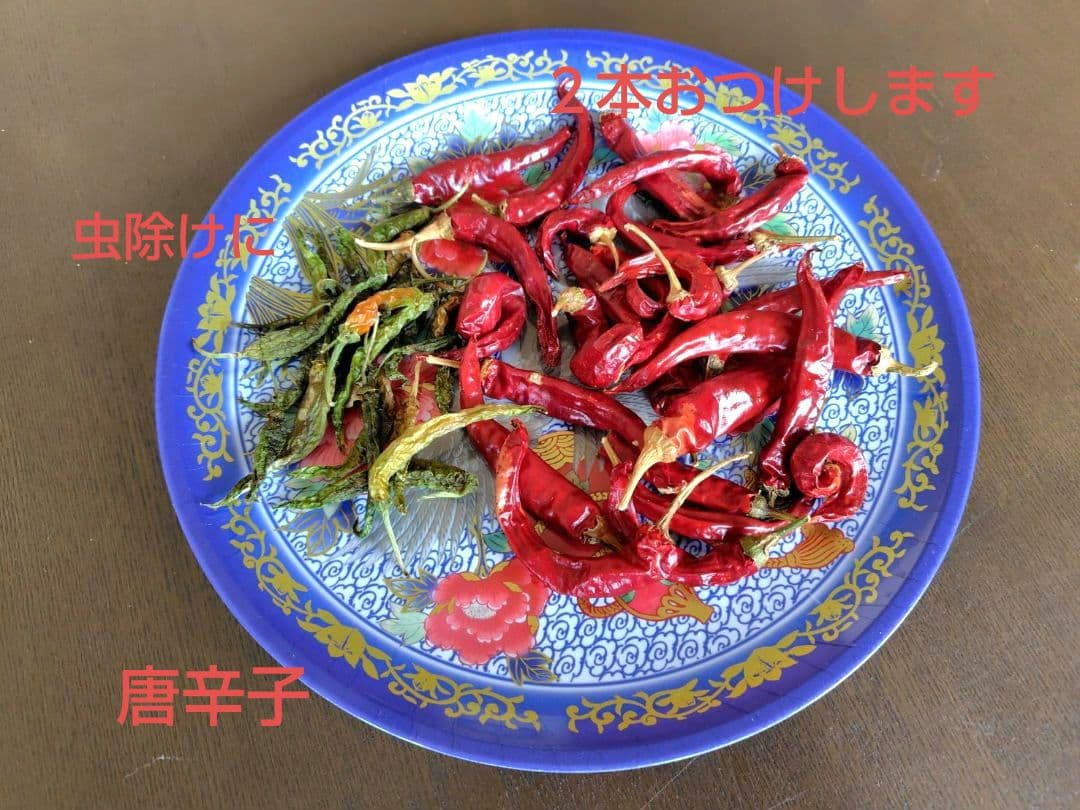 つきあかり10kg　岩手県産 令和６年産 減農薬 玄米 有機栽培 単一原料米