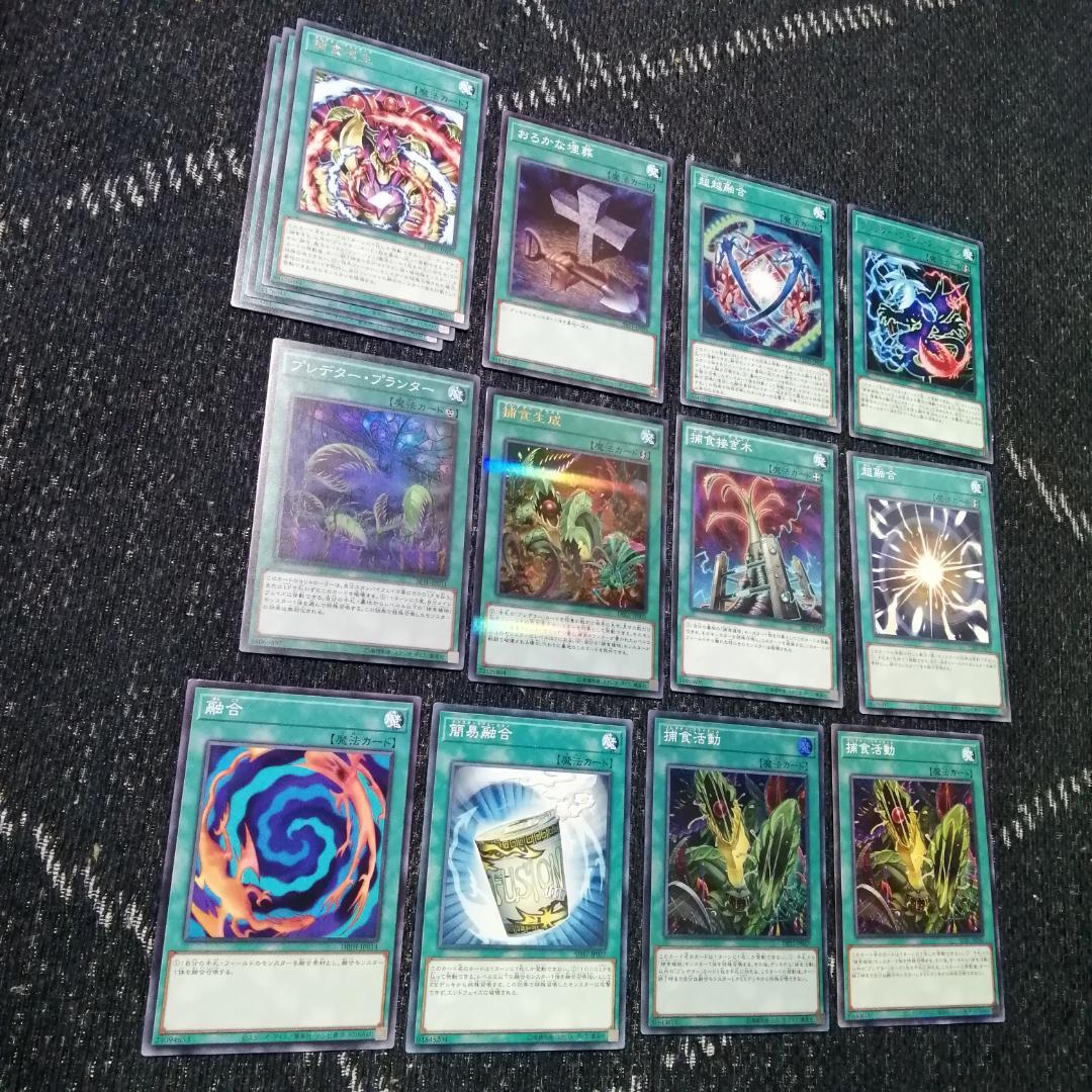 遊戯王　デッキ　捕食植物　プレデター・プランツ　スターヴ　[04656]