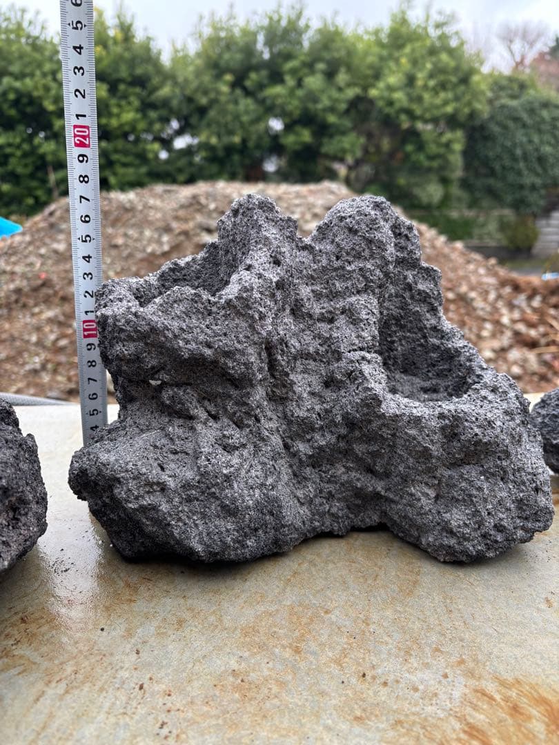 ADA 雲山石　セット　良形