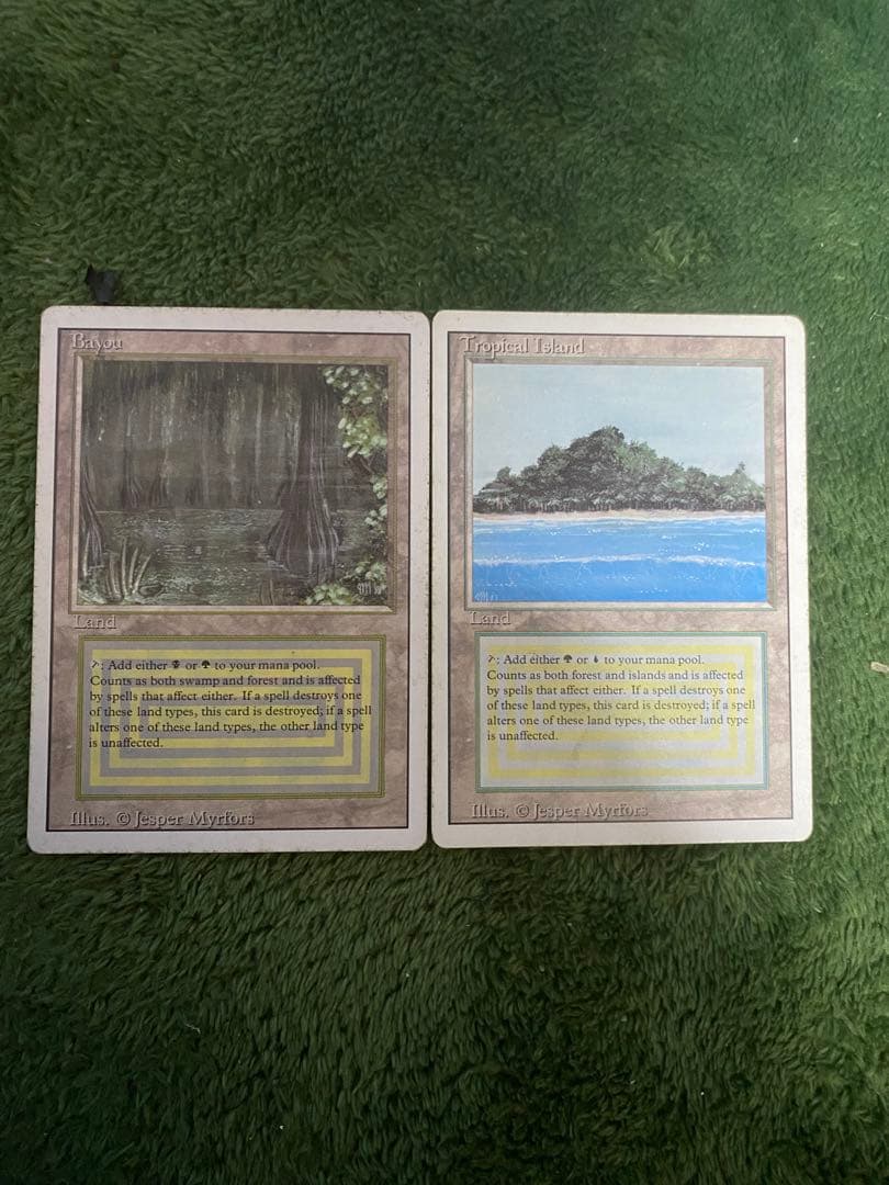 デュアルランド　Tropical 、Bayou セット