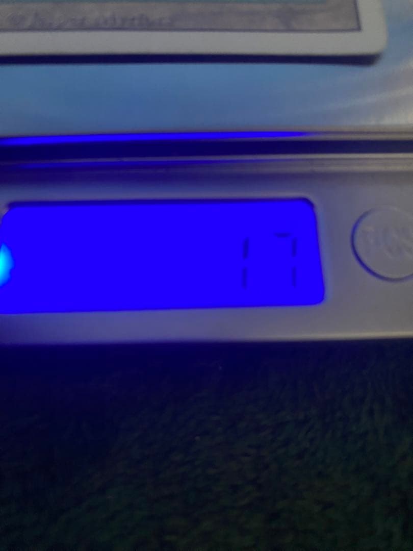 デュアルランド　Tropical 、Bayou セット