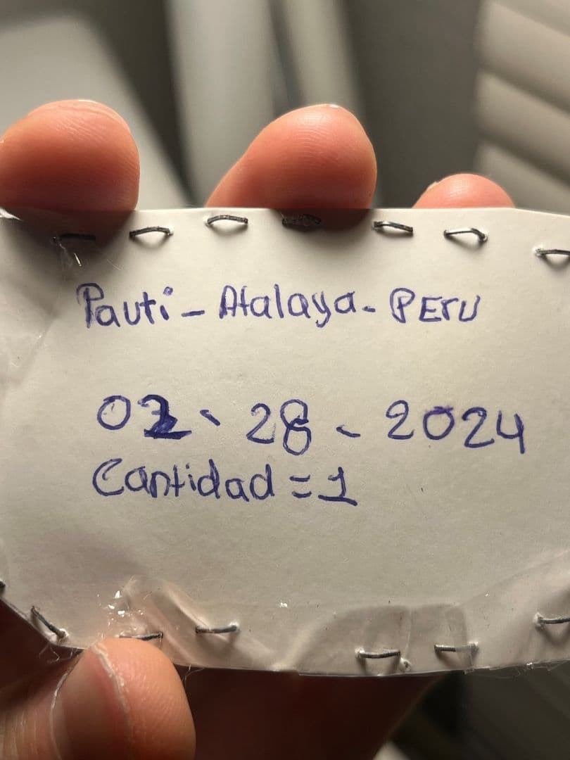 【珍色】ルリオニカミキリ ムラサキオニノコギリカミキリ キンオニカミニリ標本