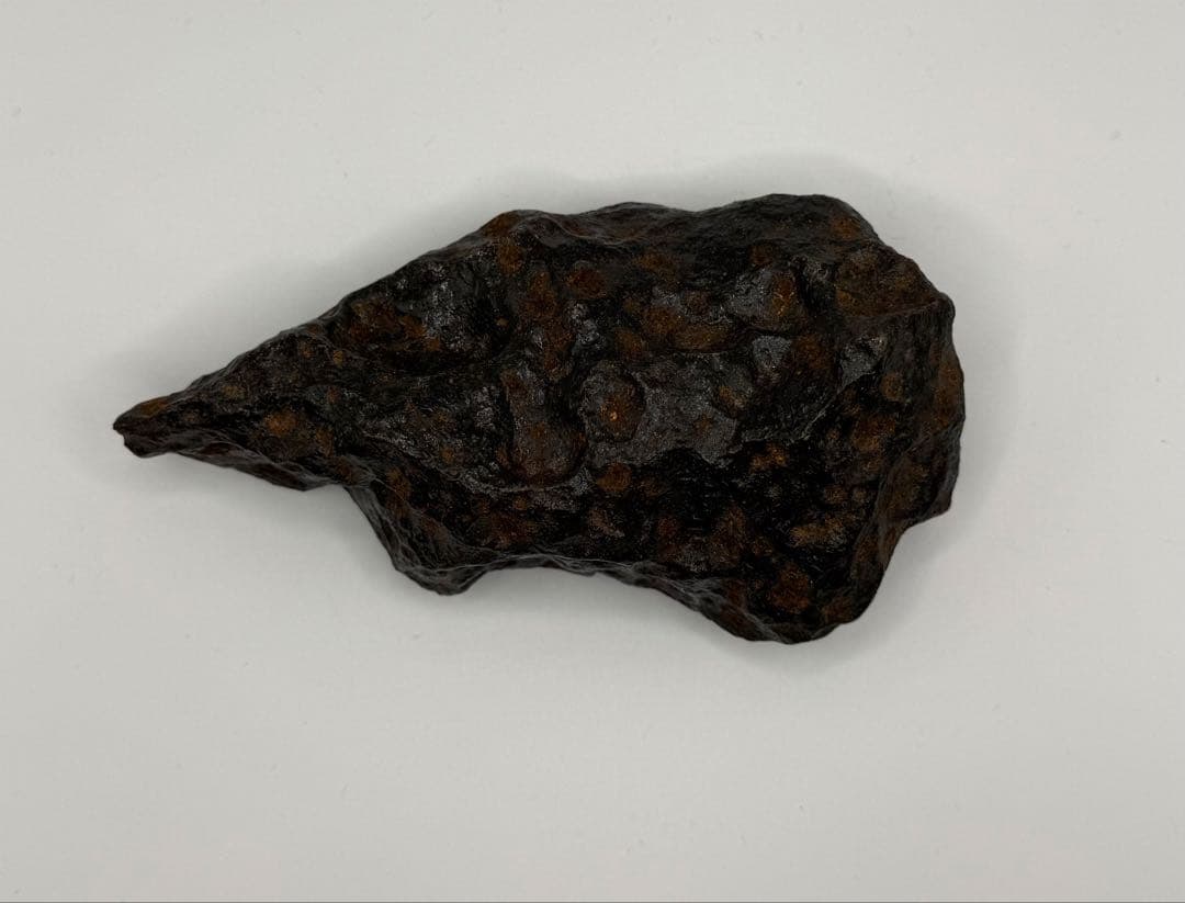 希少 特大サイズ1.2kg【隕石・メテオライト】カンポデルシエロ