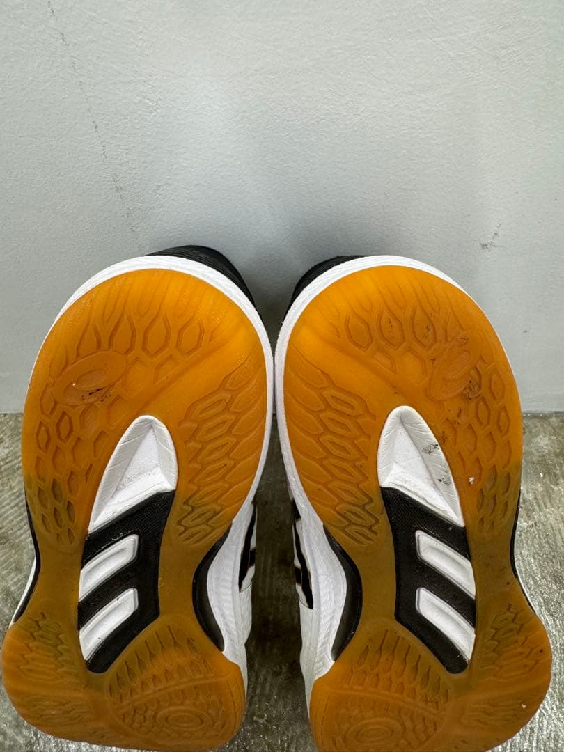 asics バレーボールシューズ ローテジャパン　26.5