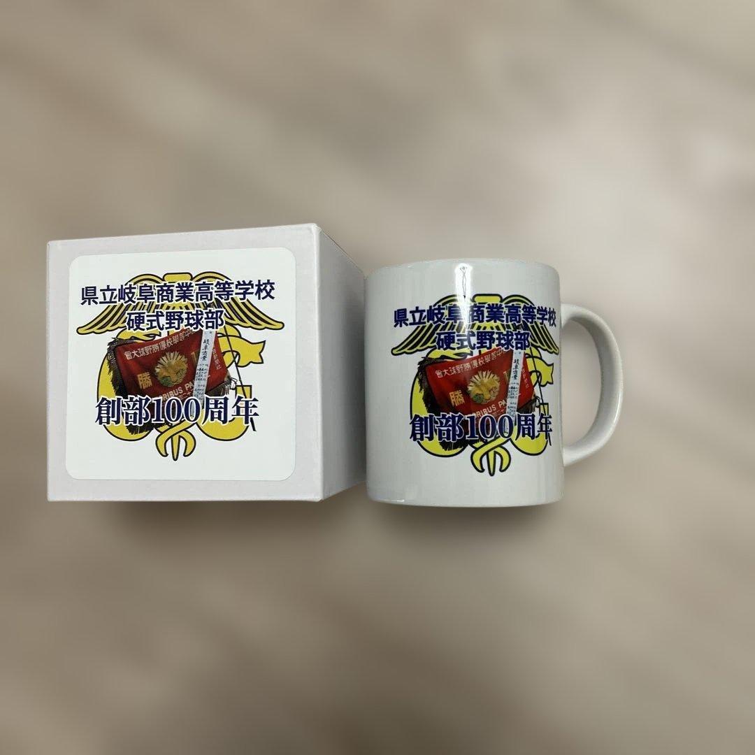 県立岐阜商業硬式野球部100周年記念グッズ7点セット