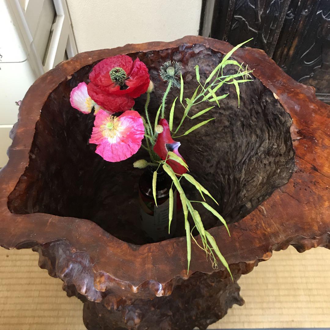 木の根 インテリア  掛軸いれなど