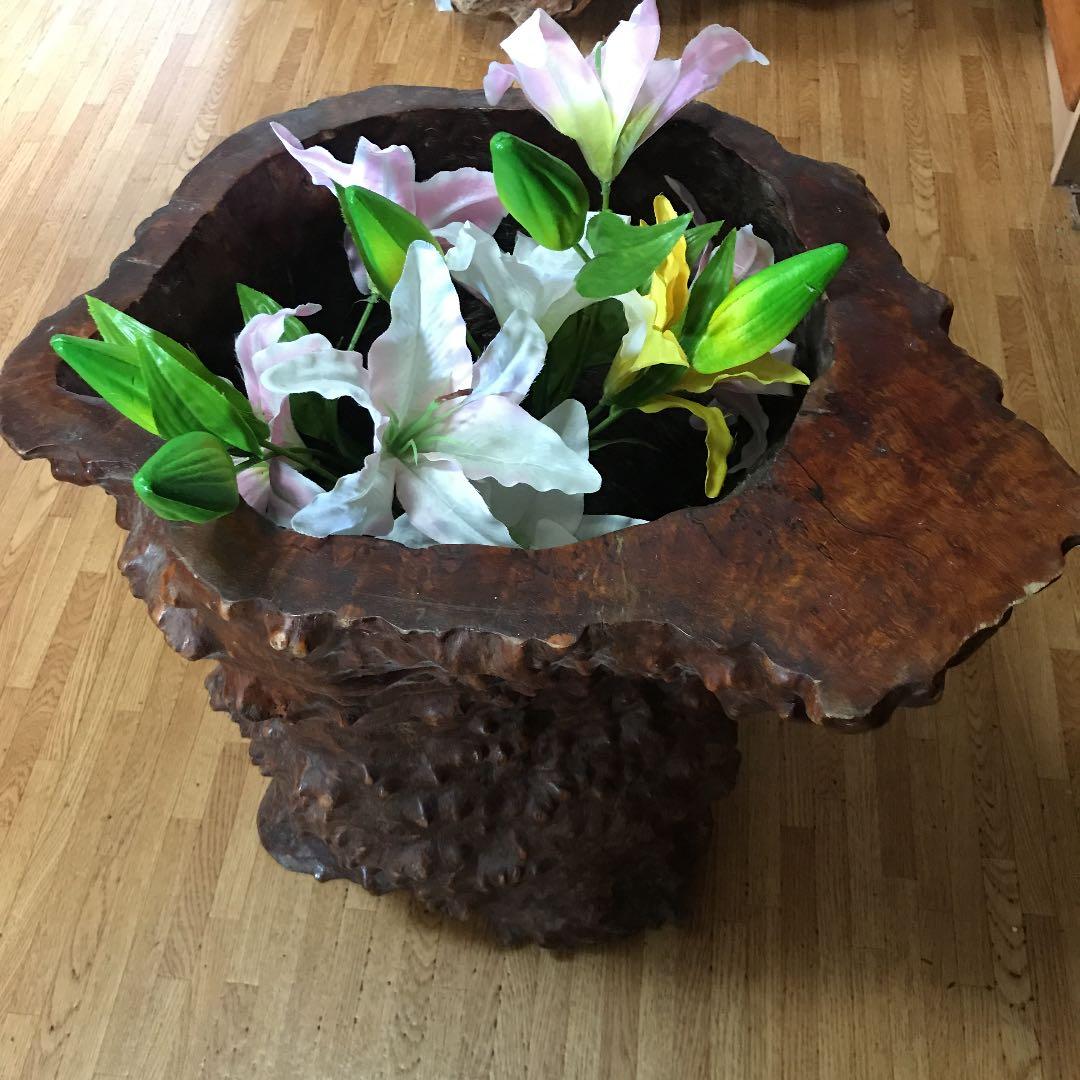 木の根 インテリア  掛軸いれなど