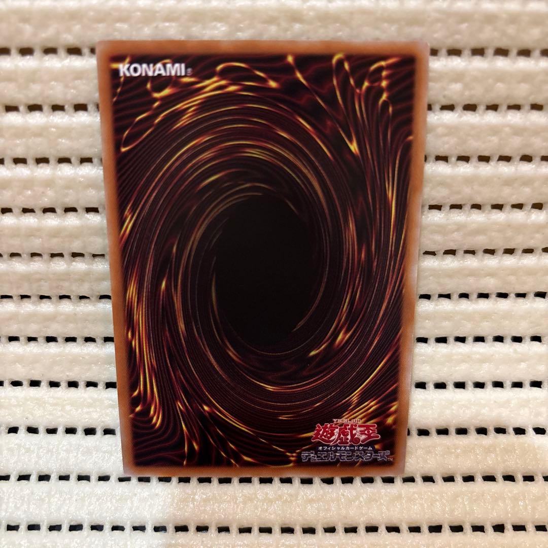 遊戯王 大輪の霊使い プリシク