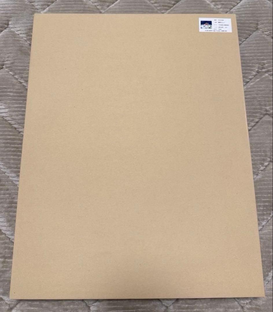 【新品・未開封】天地創造 藤原カムイ先生 直筆サイン入り複製原画