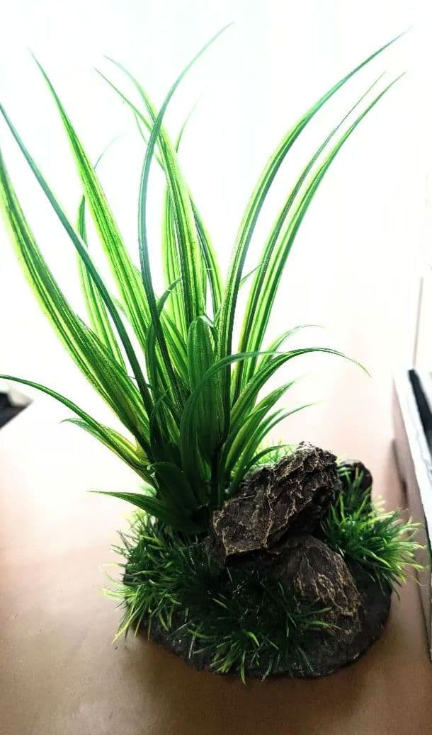 LegLass レグラス ガラス水槽 ＆リアル人工植物3点セット