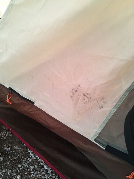 スノーピーク ランドロック　4点セット！2021.9月購入品