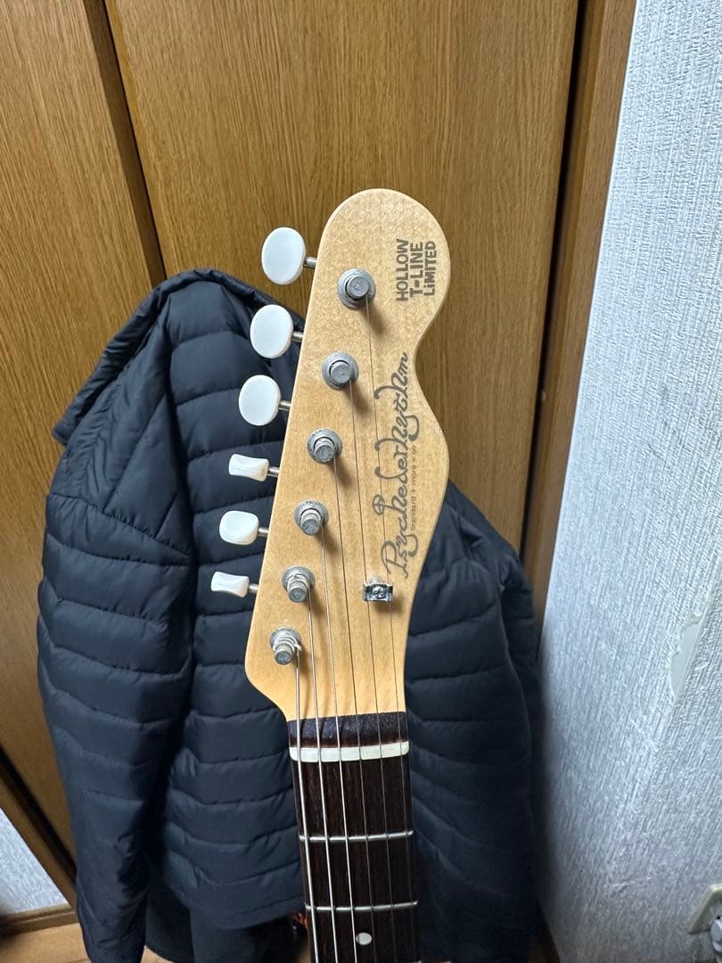 ギター Psychederhythm Hollow-T