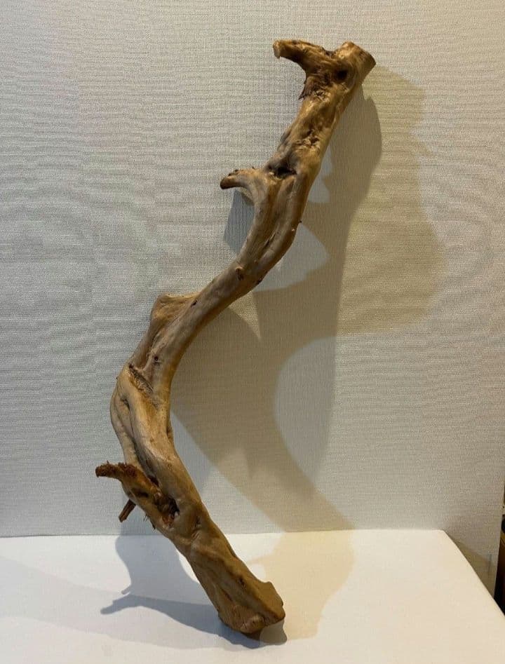 流木　止まり木　約82センチ