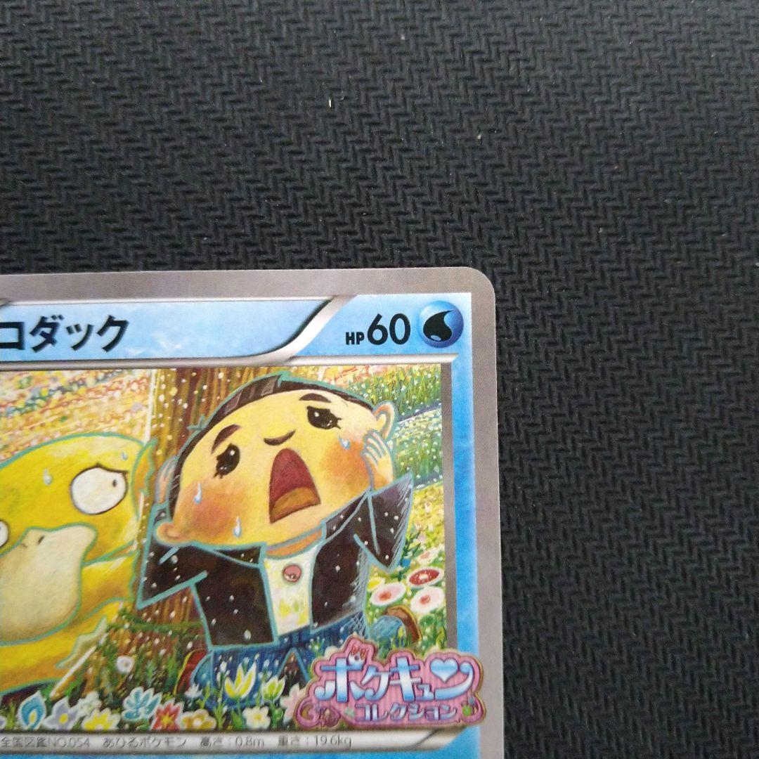 XY-P コダック_ポケキュンコレクション キャンペーン　増田順一 コラ