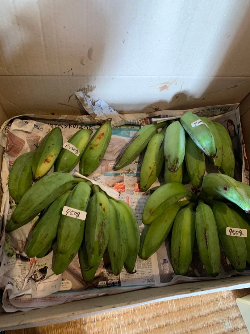 まちゃ様　ご予約