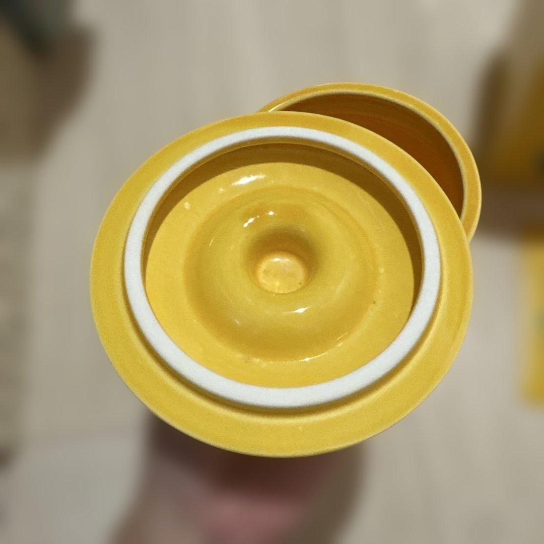 【新品未使用】ポルノグラフィティ　ぬか漬け　壺（レア）※期間限定