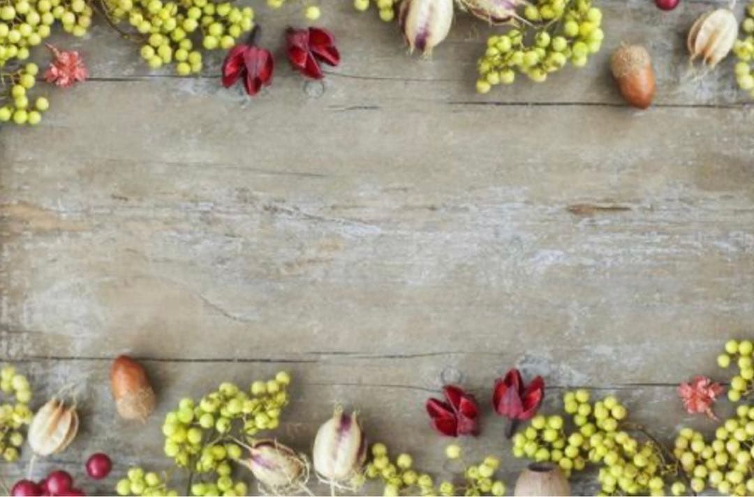 M1269.一木一横 兔子小姐和猫先生 マスキングテープ 銀ホロPET