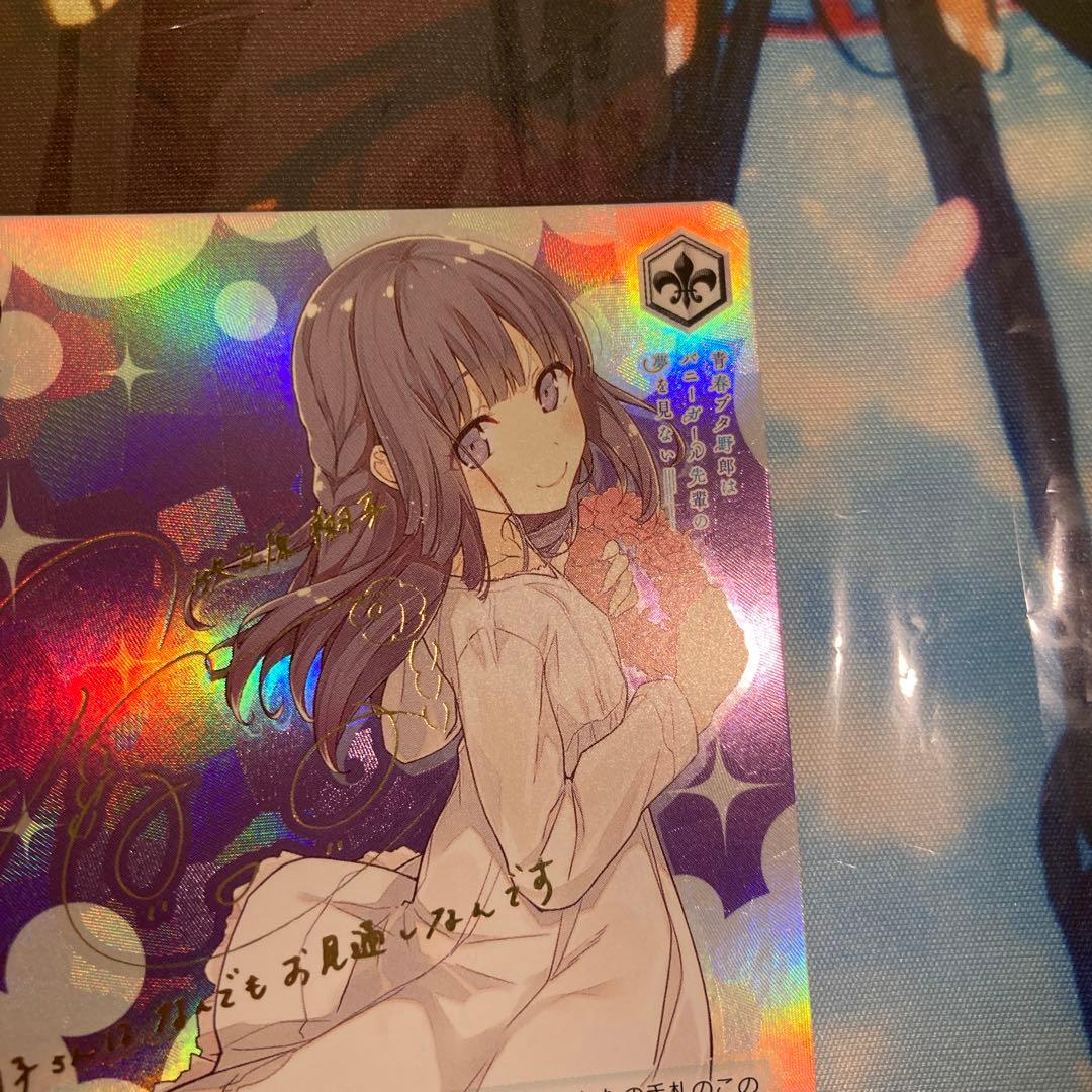 ゆめみる少女 牧之原翔子 sp 青ブタ