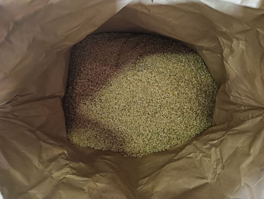 R7年　まっしぐら10kg（玄米）