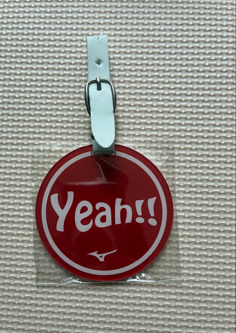 ミズノ キャディバッグ