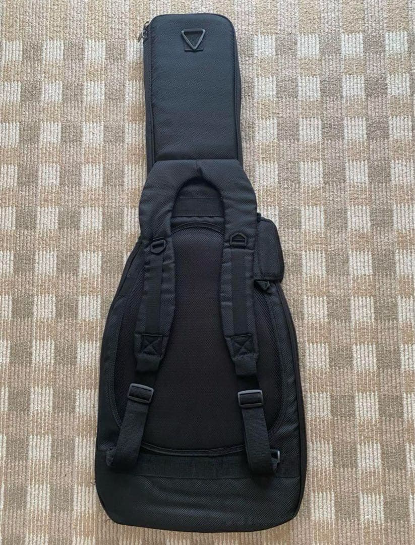 フジゲン ネオ クラシック ストラトタイプ エレキギター