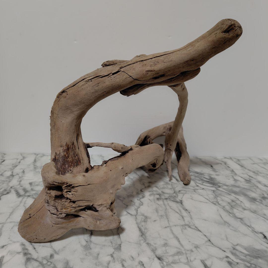 アク抜き済み流木【847】セール