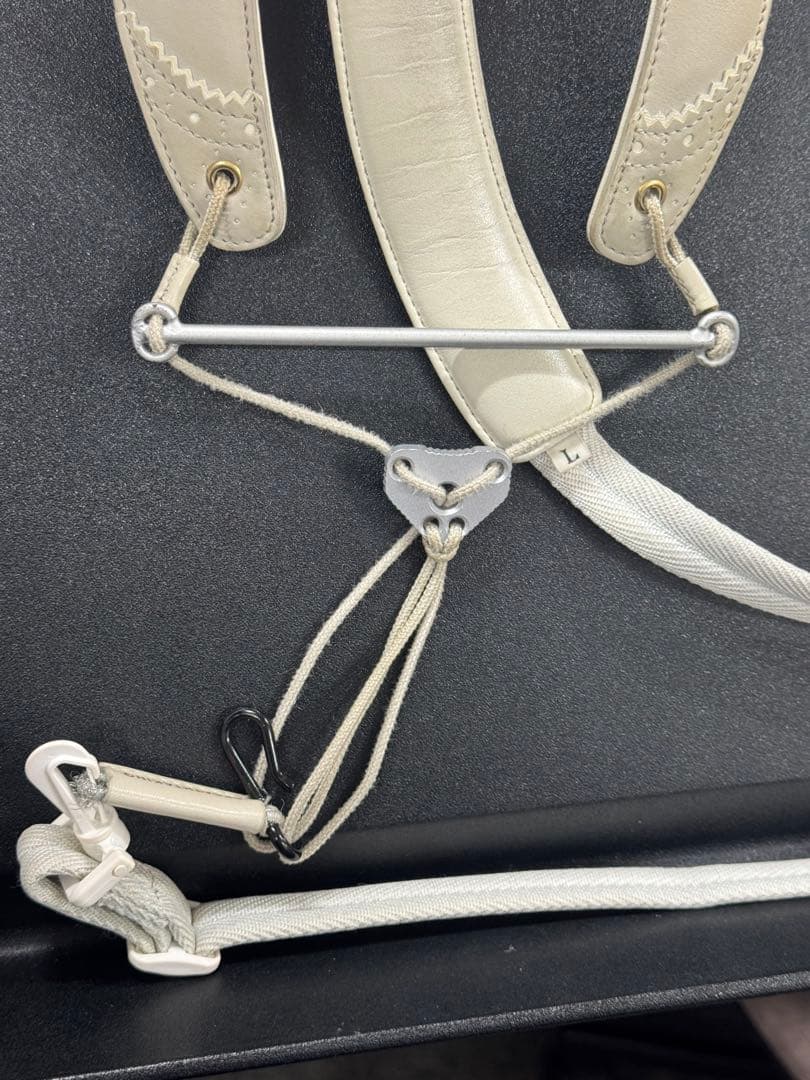 ブレステイキング 2021年限定モデル Lサイズ