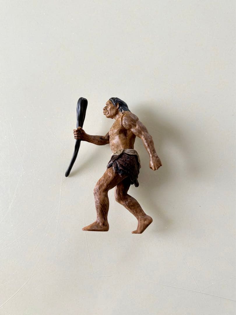 最終値下げ‼️【Schleich & PAPO】シュライヒ&パポ社 恐竜 9点+1