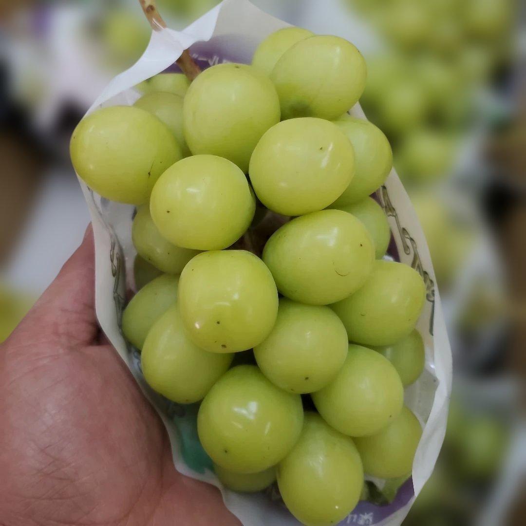 9️⃣ 山梨県産 シャインマスカット １０房入り 箱込み5.3キロ