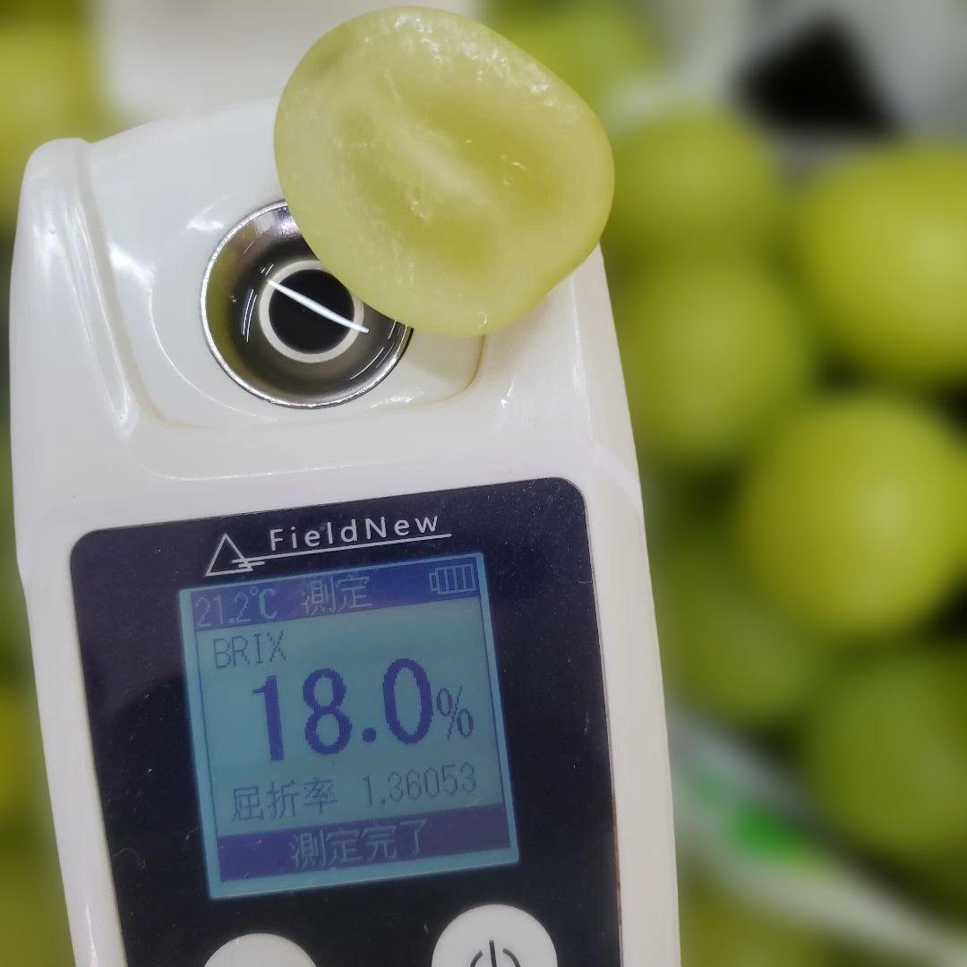 9️⃣ 山梨県産 シャインマスカット １０房入り 箱込み5.3キロ