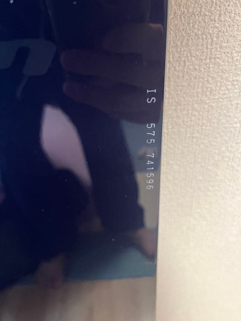 ゲンテンスティック スノーボード&ソールガード 157cm