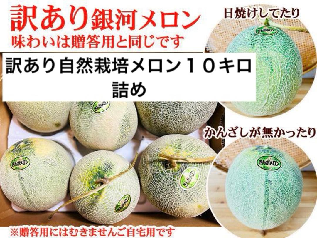 訳あり自然栽培ぎんがメロン10kg満杯詰め
