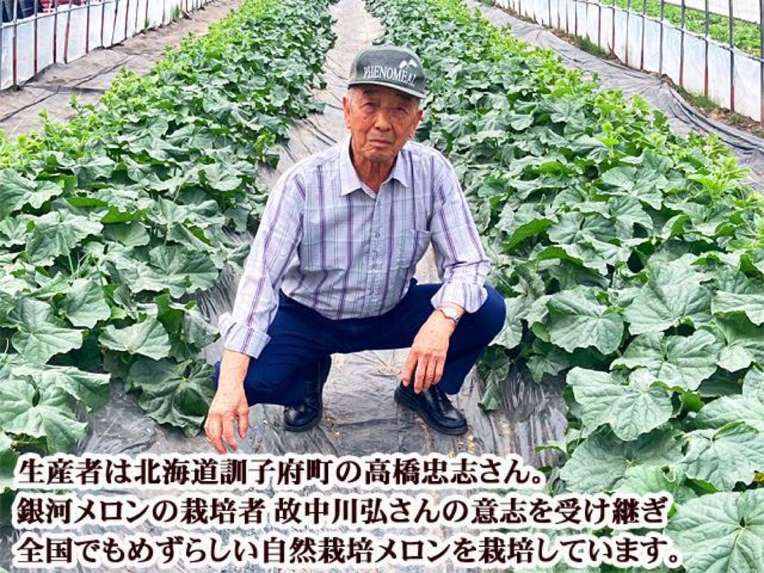 訳あり自然栽培ぎんがメロン10kg満杯詰め