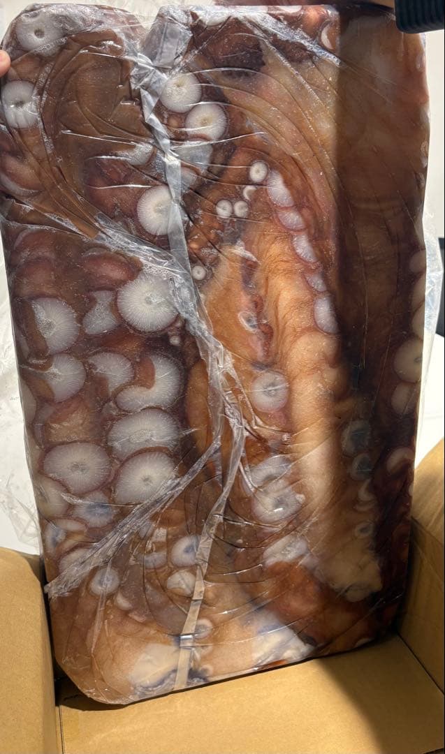 冷凍　青森県産水だこ脚