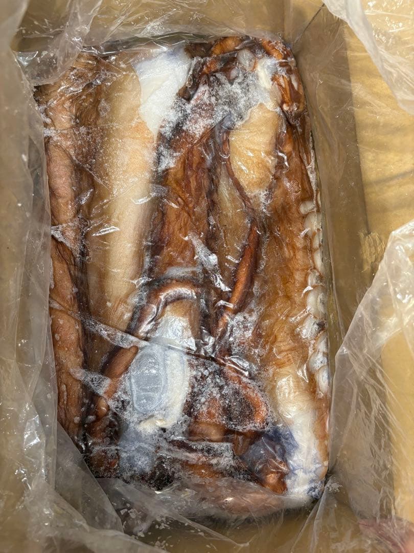 冷凍　青森県産水だこ脚