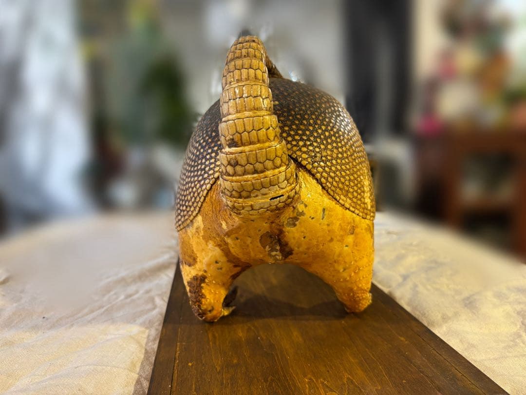 ココノオビアルマジロ/剥製/ワシントン条約 ・日本国内法（種の保存法）対象外