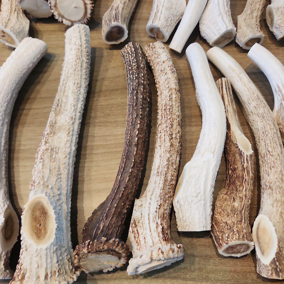 鹿の角 (特大～大サイズ)犬用おもちゃ ランダム　10kg