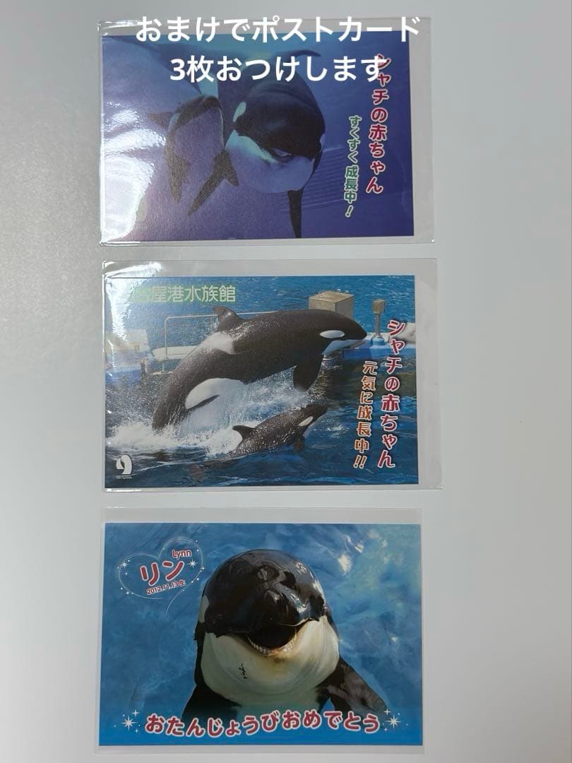 【レア・ラスト1点】名古屋港水族館　シャチ リンちゃん ステラ　ポスター