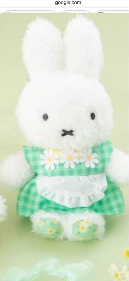 フラワーミッフィー　カモミール