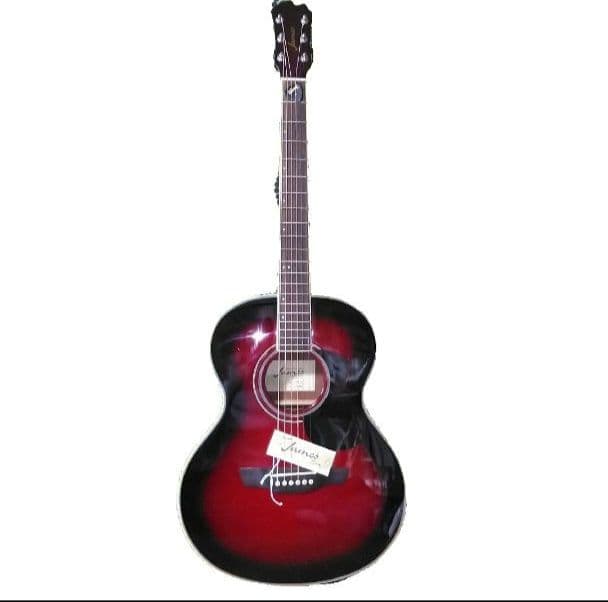 James ジェームス J-300A アコースティックギター カバーとおまけ付