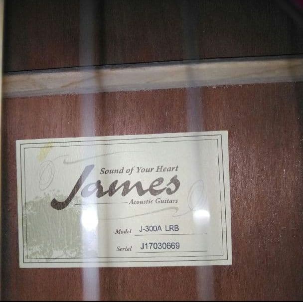 James ジェームス J-300A アコースティックギター カバーとおまけ付