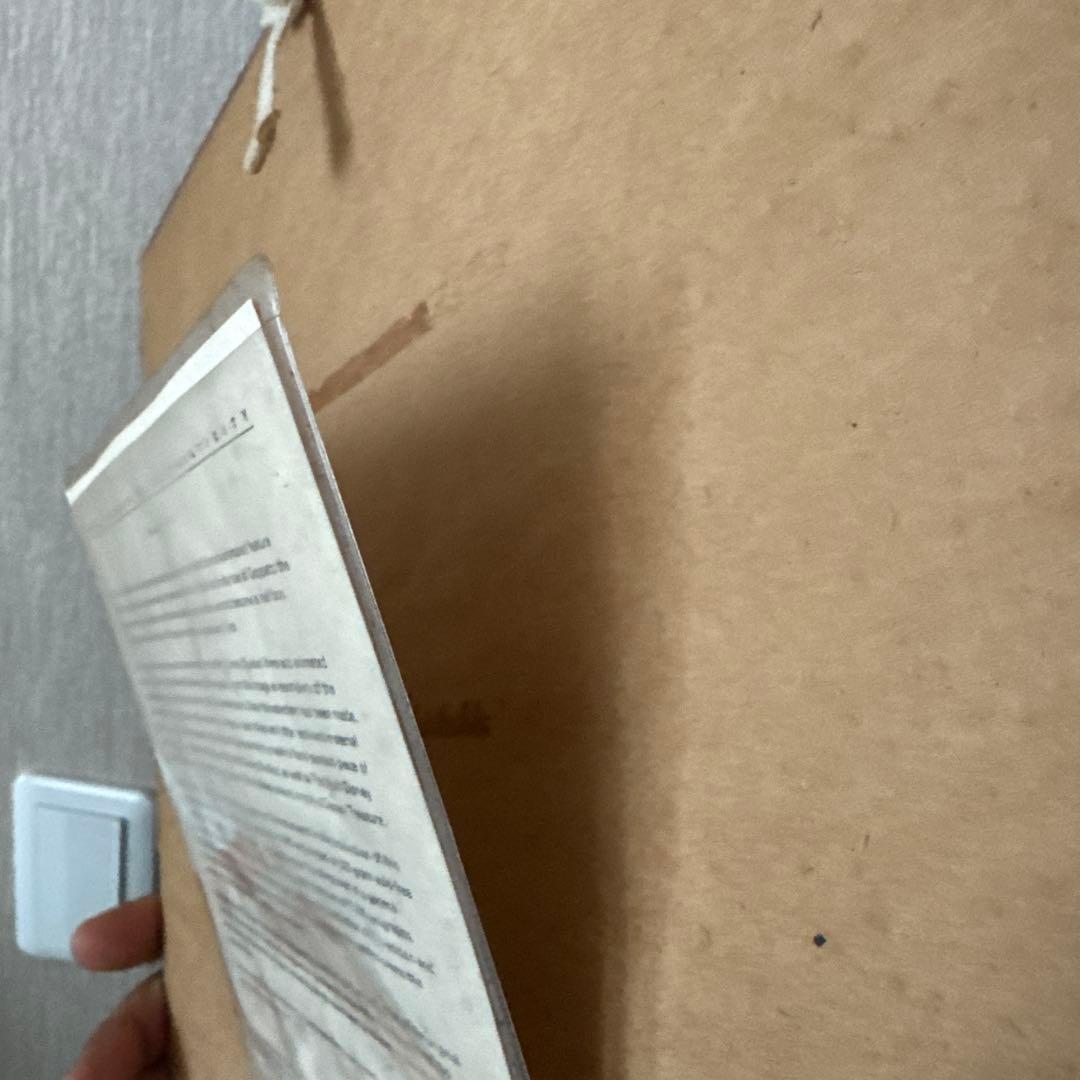 (24)【7500枚限定】 ギャラリー フィガロ クレオ　ピノキオ　Disney