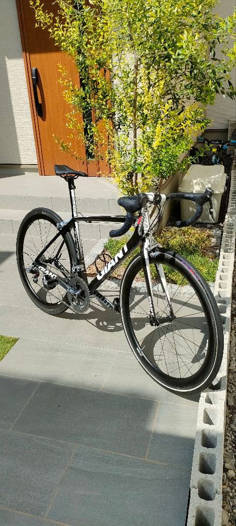 SK様ご売約済　GIANT TCR Advanced SL 2010フレーム52