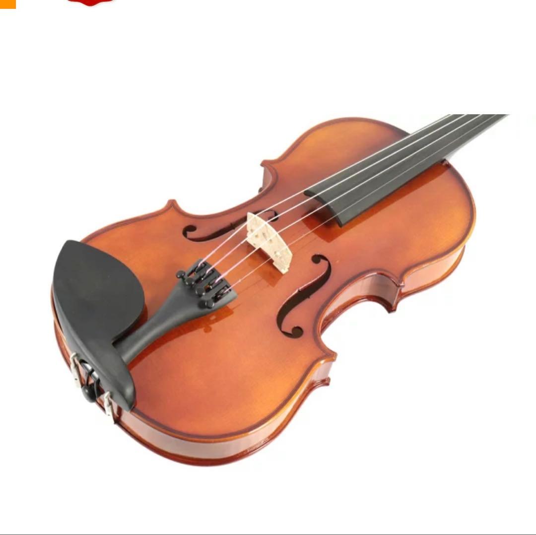 Carlo Giordano バイオリンセット 1/4 VS1