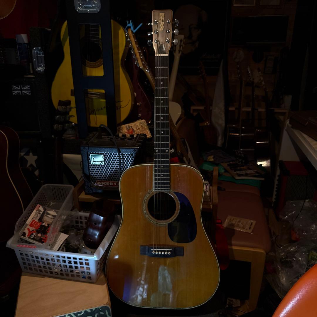 Fernand esアコースティックギター ドレッドノート