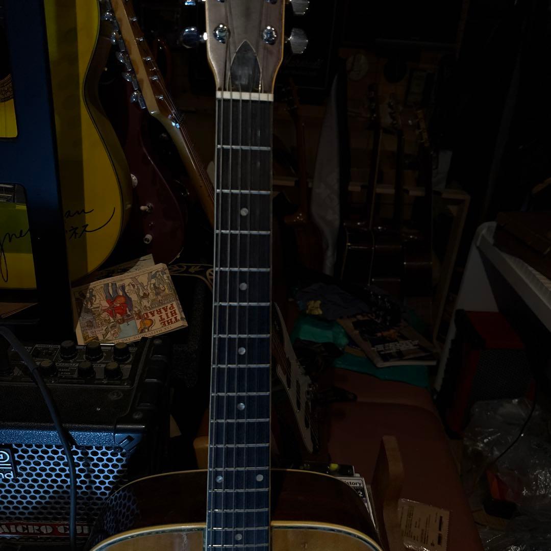 Fernand esアコースティックギター ドレッドノート