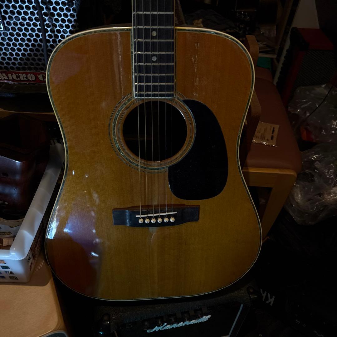 Fernand esアコースティックギター ドレッドノート