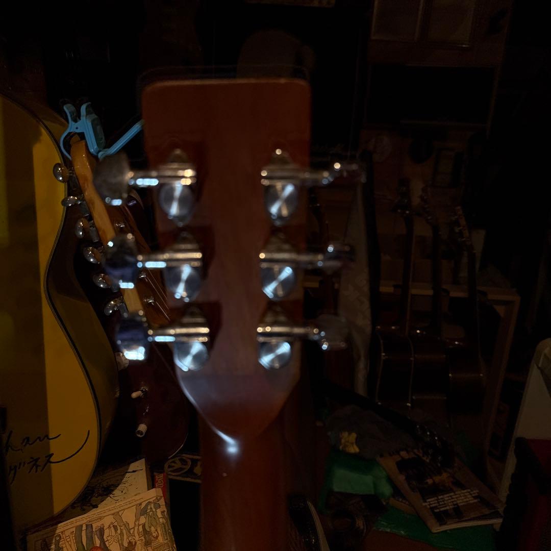 Fernand esアコースティックギター ドレッドノート