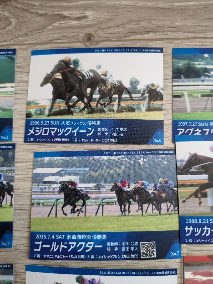 函館競馬場 札幌競馬場 メモリアル カード 26枚 競馬 競走馬 ウマ娘 グッズ