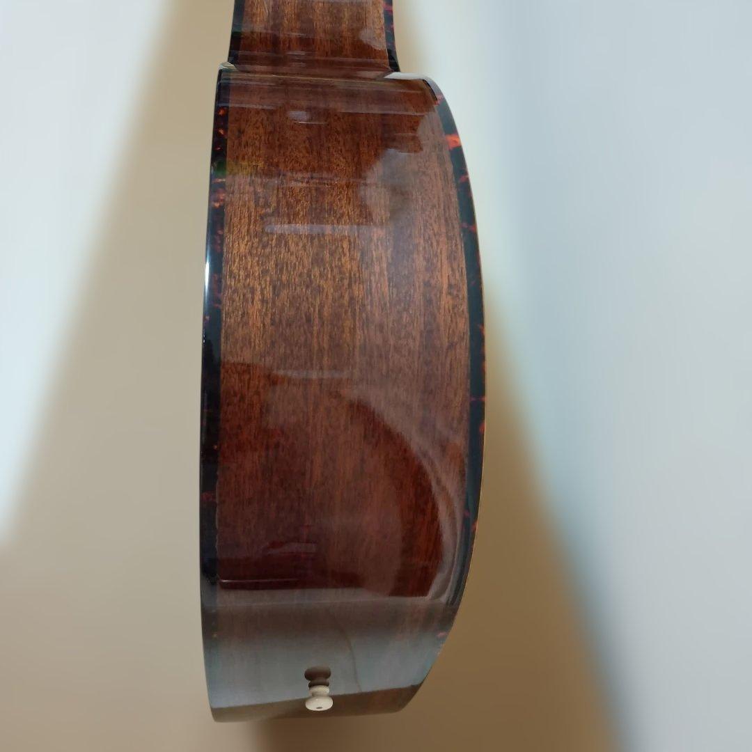 Recording King ROS-G6 アコースティックギター